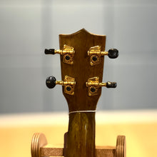 將圖片載入圖庫檢視器 【預售】日本製 Famous by KIWAYA FS-MGT Laminated Walnut 胡桃木三片原木合板 21" Ukulele