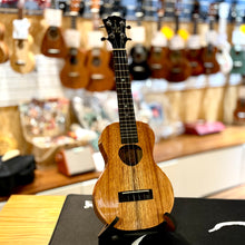 Load image into Gallery viewer, KoAloha All Solid Hawaiian KOA 23" Concert 夏威夷相思木全實木 Concert Ukulele