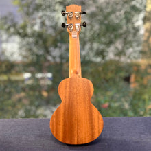 Load image into Gallery viewer, 【預售】聖誕限定禮品套裝 Tom T3 17&quot; 桃花心木面實木 Solid Top Mahogany Ukulele
