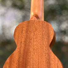 Load image into Gallery viewer, 【預售】聖誕限定禮品套裝 Tom T3 17&quot; 桃花心木面實木 Solid Top Mahogany Ukulele
